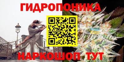наркотики Новодвинск