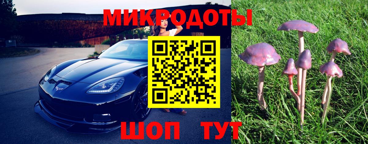 Соль-Илецк  Галлюциногенные грибы Cubensis  Вход с VPN 